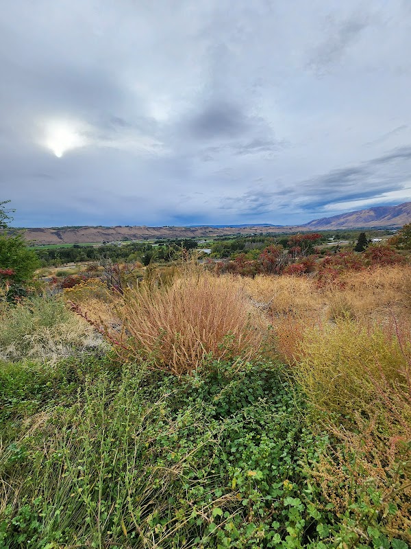 Selah Wind Phone
