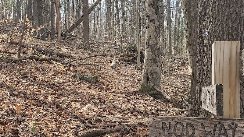 Avon Land Trust Trail To Heublein Tower
