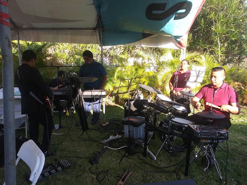 Palmland Park