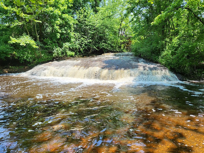 Overlook by the Falls