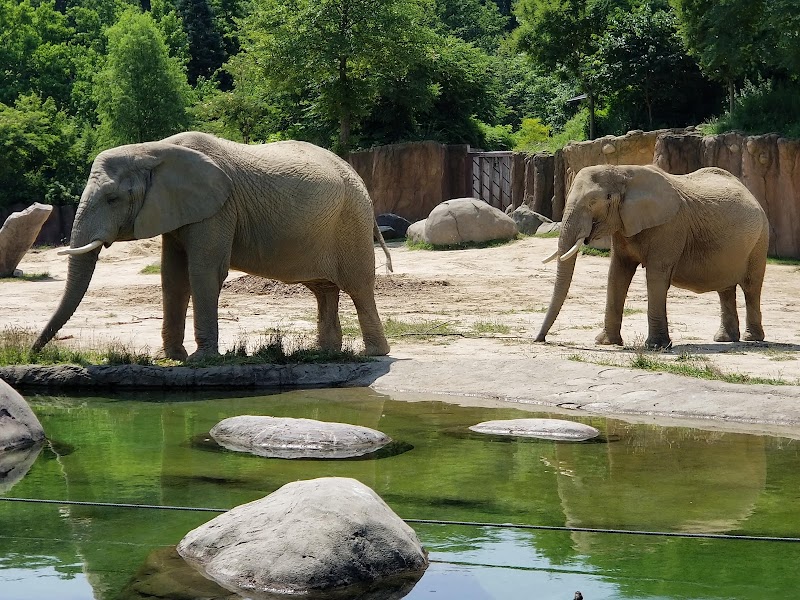 Cleveland Metroparks Zoo