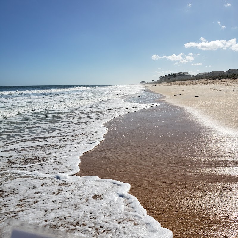 Old Salt Park Dog Friendly