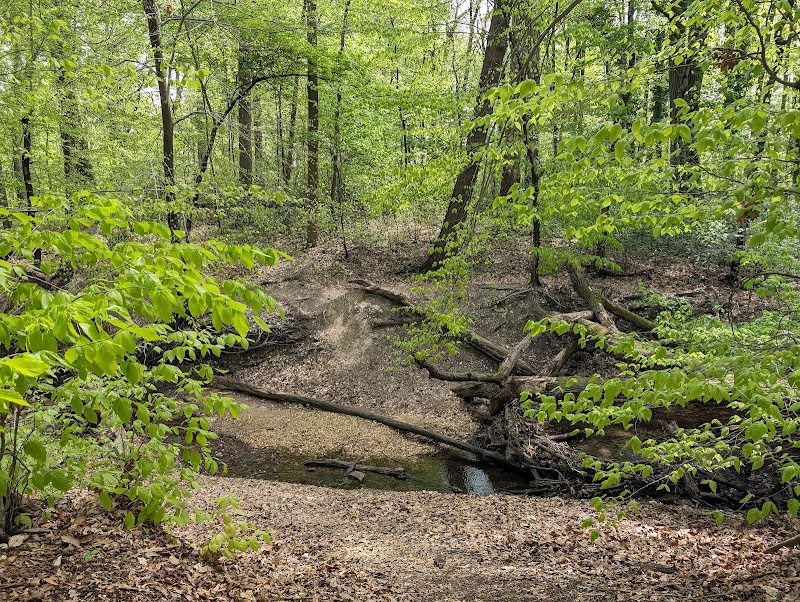 Saddler's Woods Conservation Association