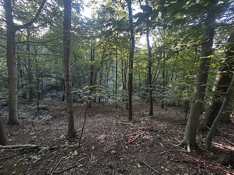 Kenmawr Conservation Area