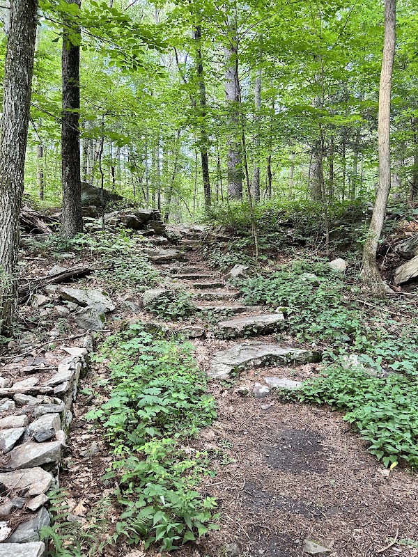 The Walkup & Robinson Memorial Reservation Parking