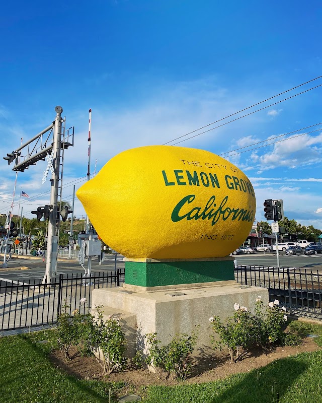 Lemon Grove Giant Lemon