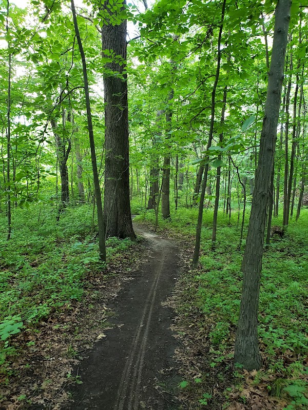 Black Oak Heritage Park