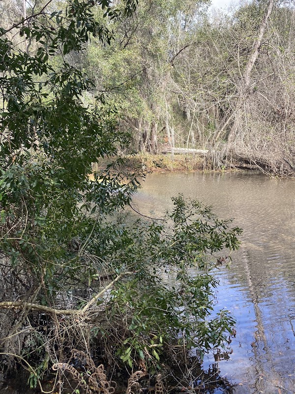 Chapman's Pond & Nature Trails