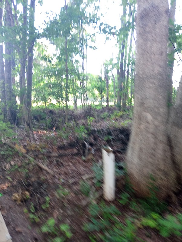 Woodlands Heights Park
