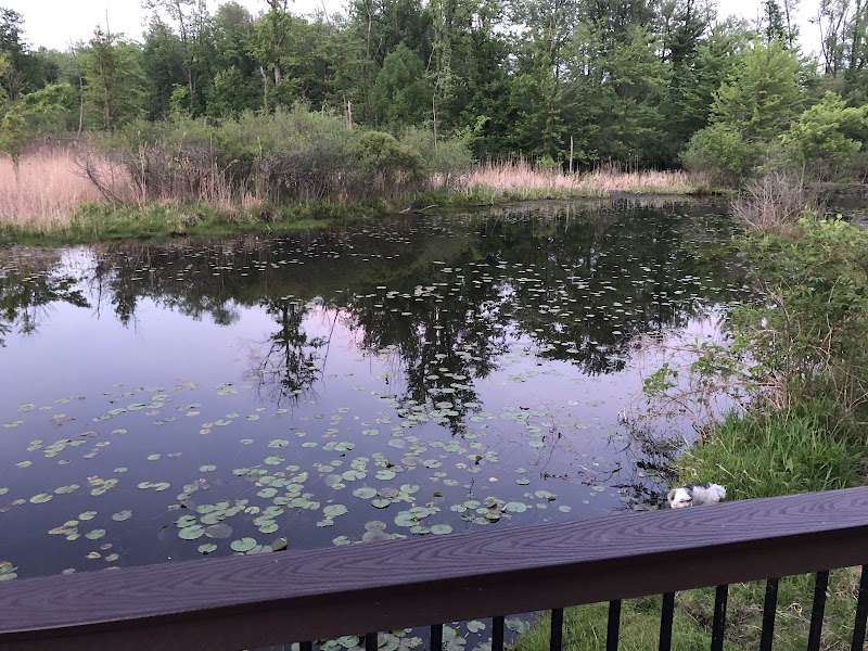 Pond Overlook