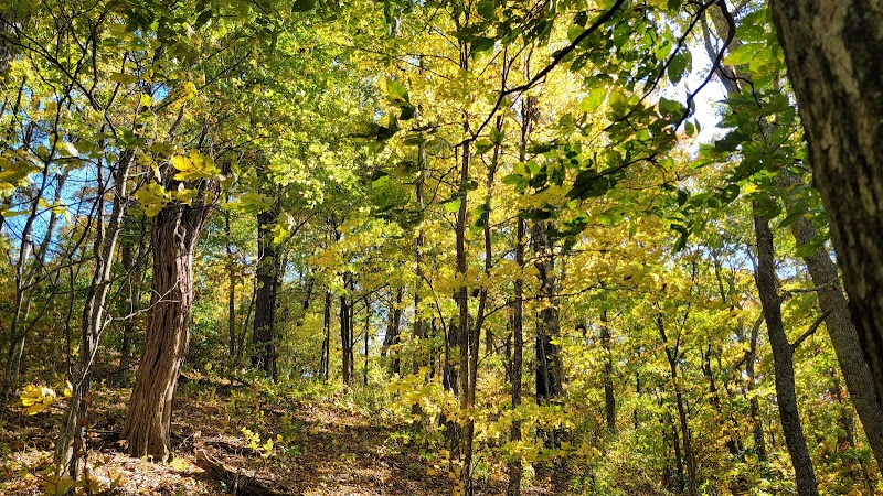 Little Pisgah Ridge Tunnel