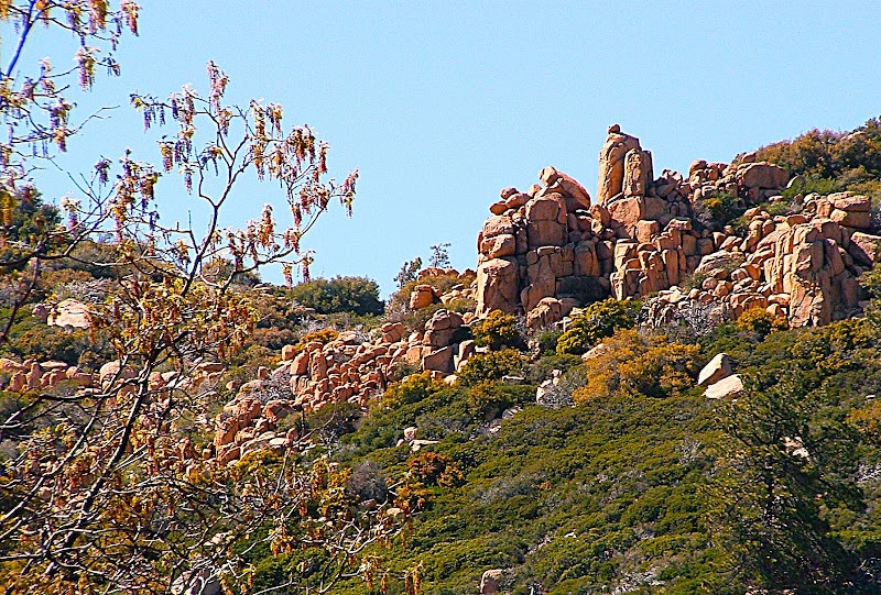 Pilot Rock Trail 4W33