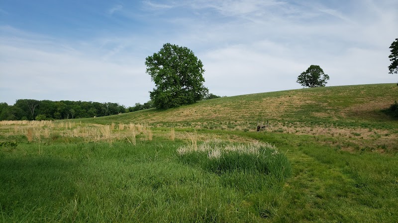 Kirkwood Preserve