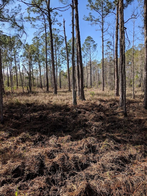 Conner Preserve