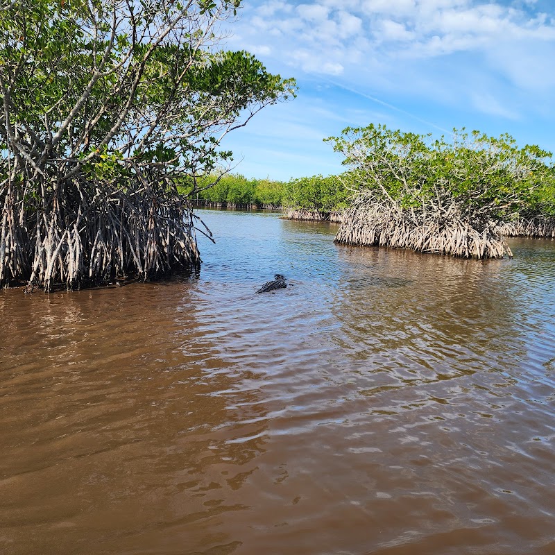 Big Cypress Wildlife Management Area - Stairsteps Unit