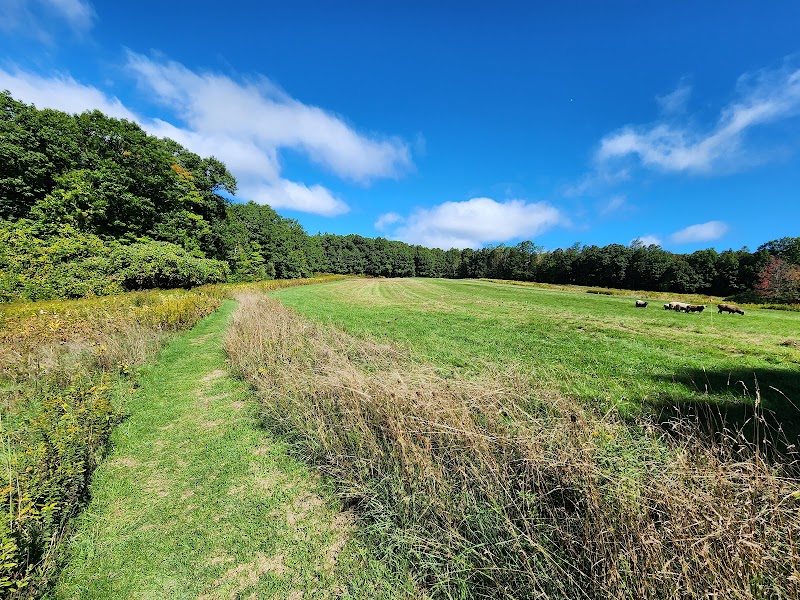 Mass Audubon's Wachusett Meadow Wildlife Sanctuary