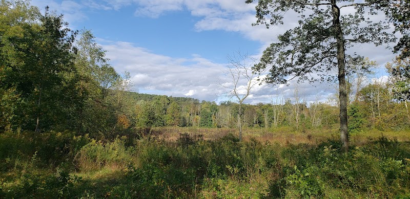 French Creek Overlook