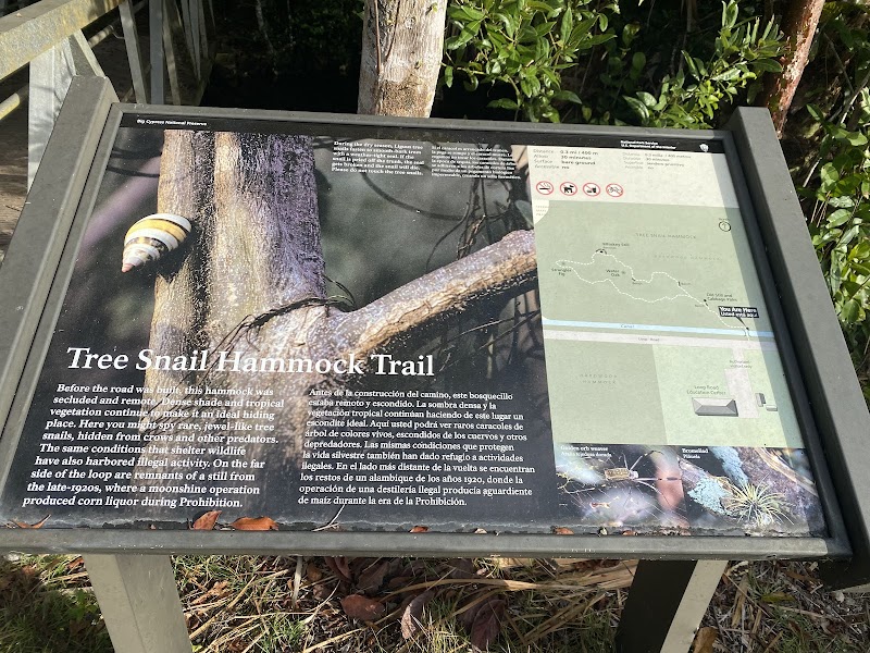 Nature Trail Tree Snail