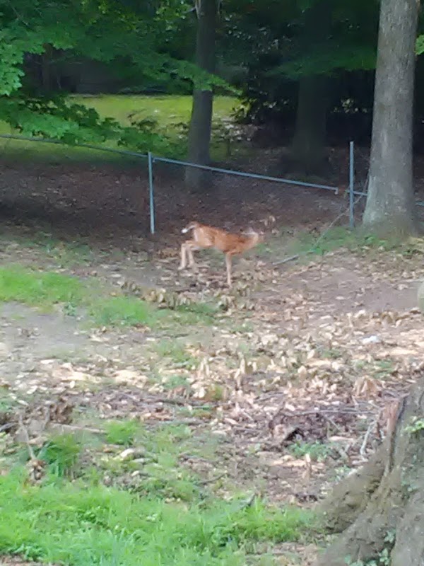 Potomac Landing Park