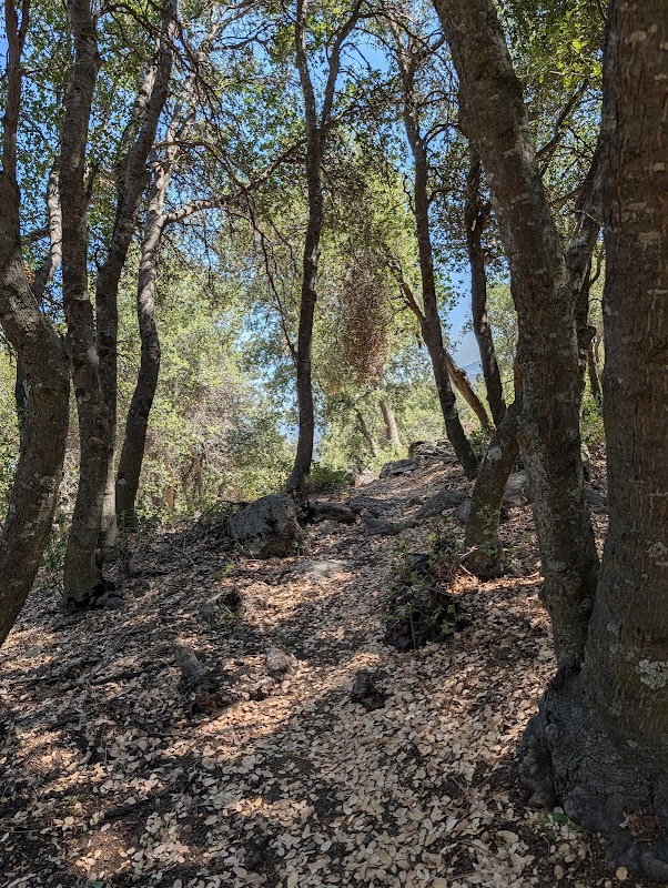 Cell Tower Lookout / Trailhead to Arts Academy