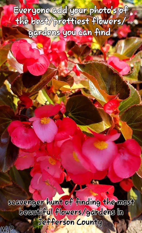 Gardens of Jefferson County