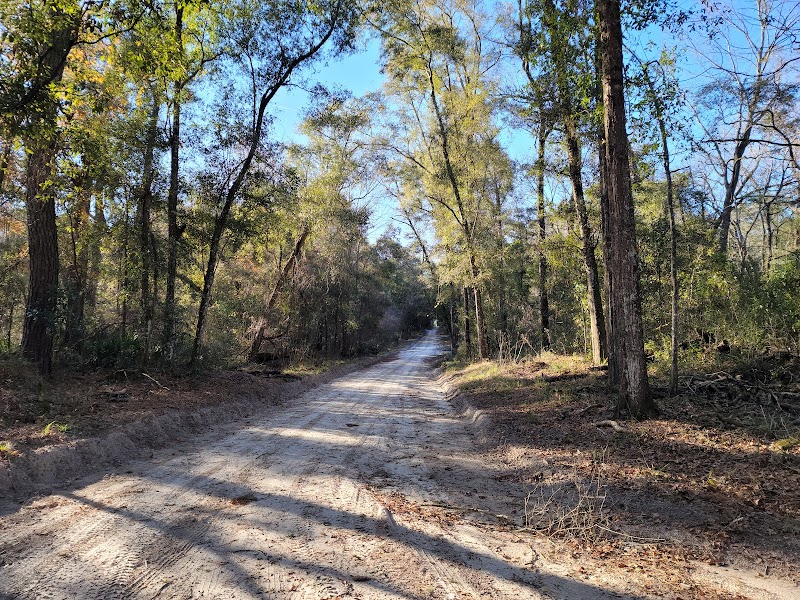 Old Bellamy Road Interpretive Trail