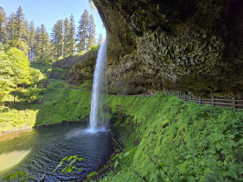 Frenchie Falls