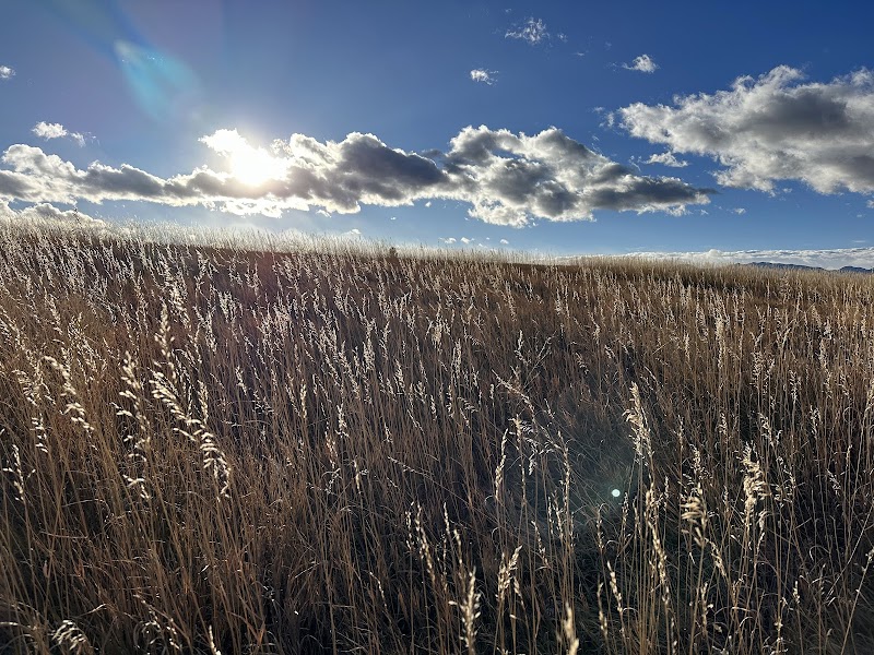 Countryside Vista Open Space