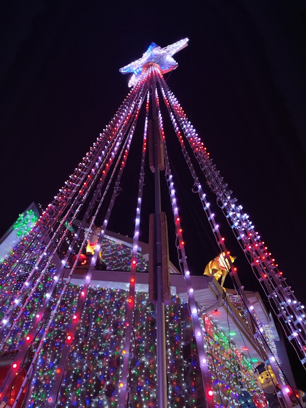 Forest Ave Christmas Lights