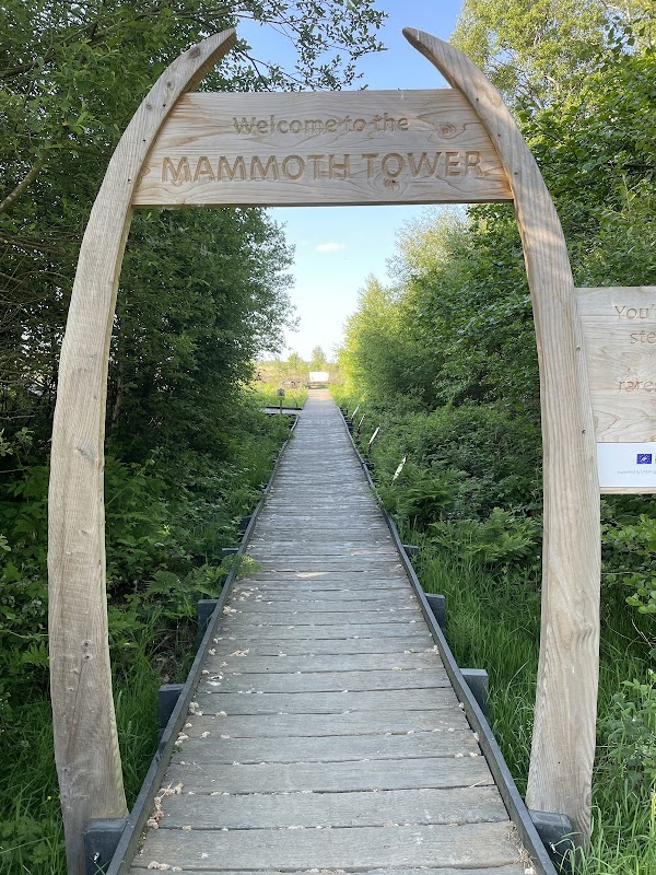 Mammoth Tower Viewing Platform