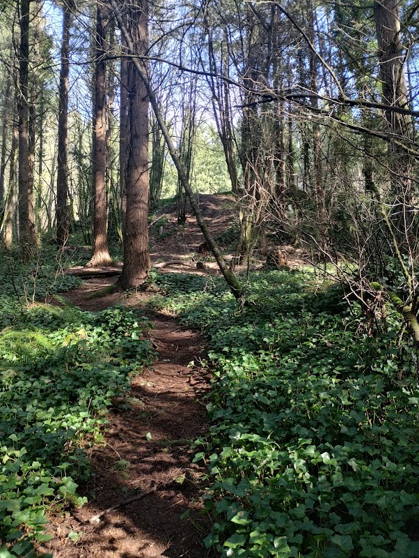 Dobson-McFadden Park & Walking Trail
