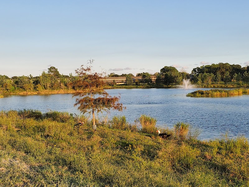 Exploration Green - Phase 1