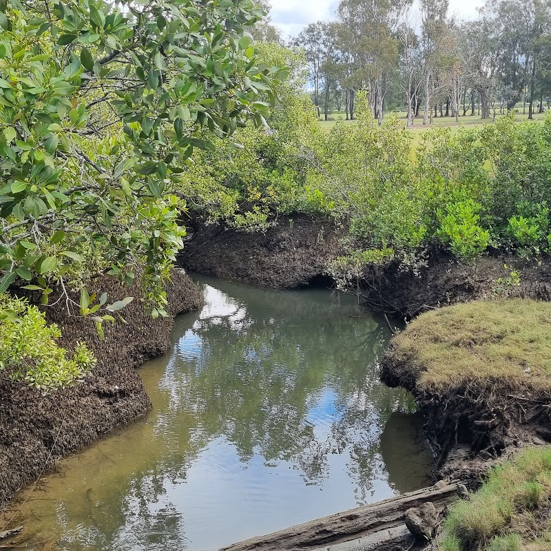 Kedron Brook bikeway