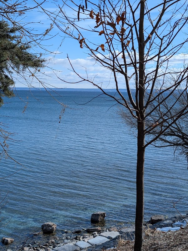 Appleby Window To The Lake