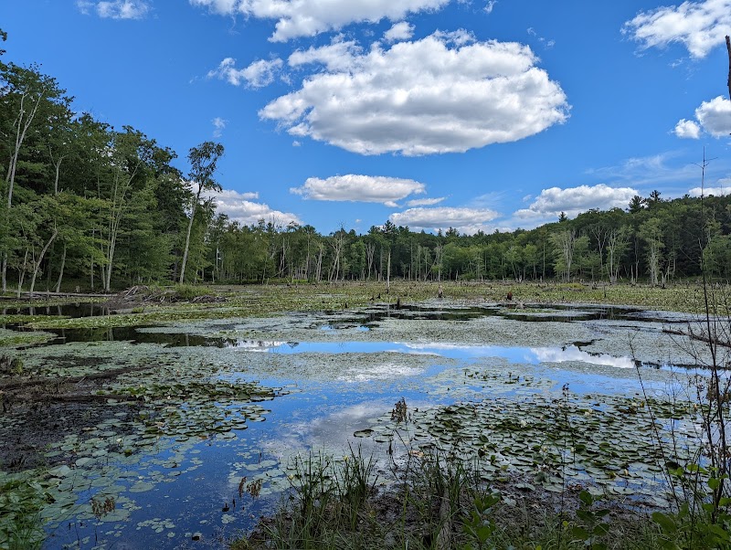 Gumpas Pond Conservation Area