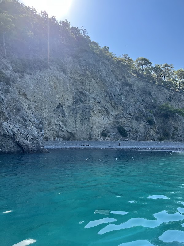 Camel beach