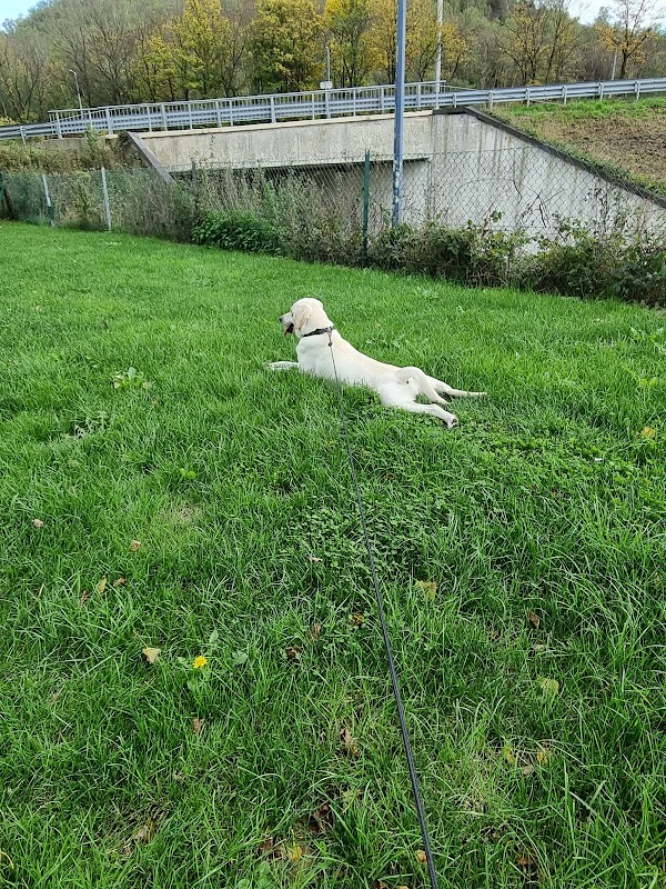 Square de la Constitution