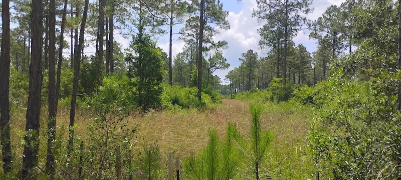 Perdido River Nature Preserve