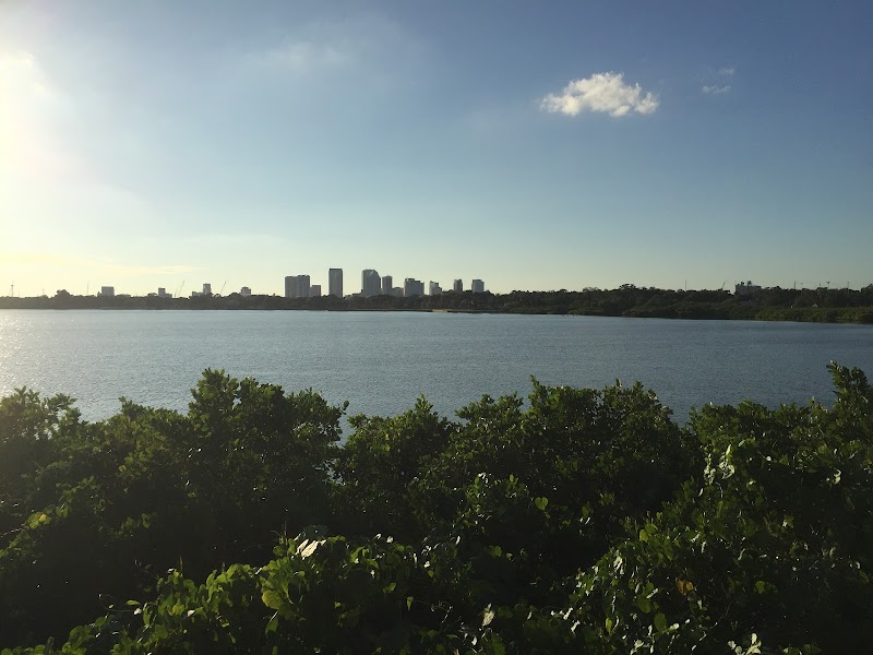 Mckay Bay Nature Park & Trail Observation tower