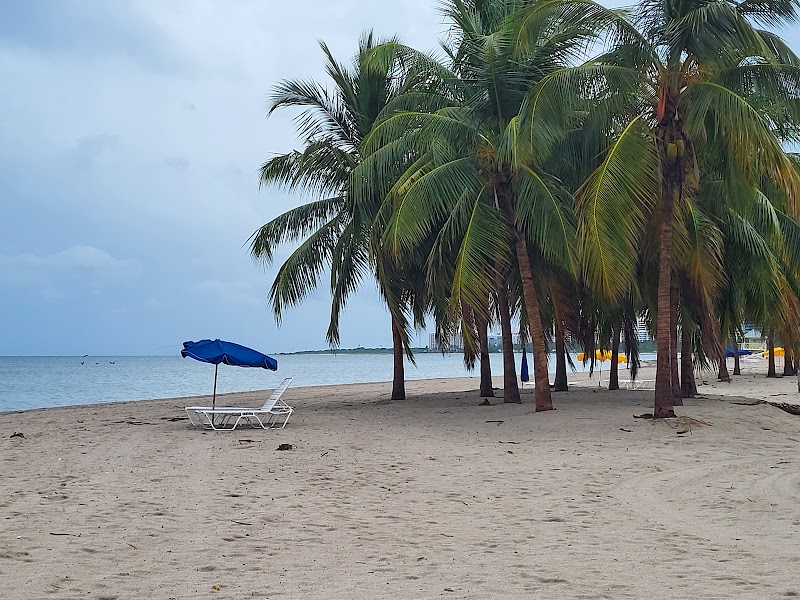 Crandon Park Shelter #1