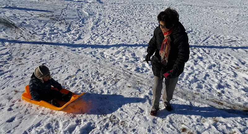Maple Ridge, toboggan hill