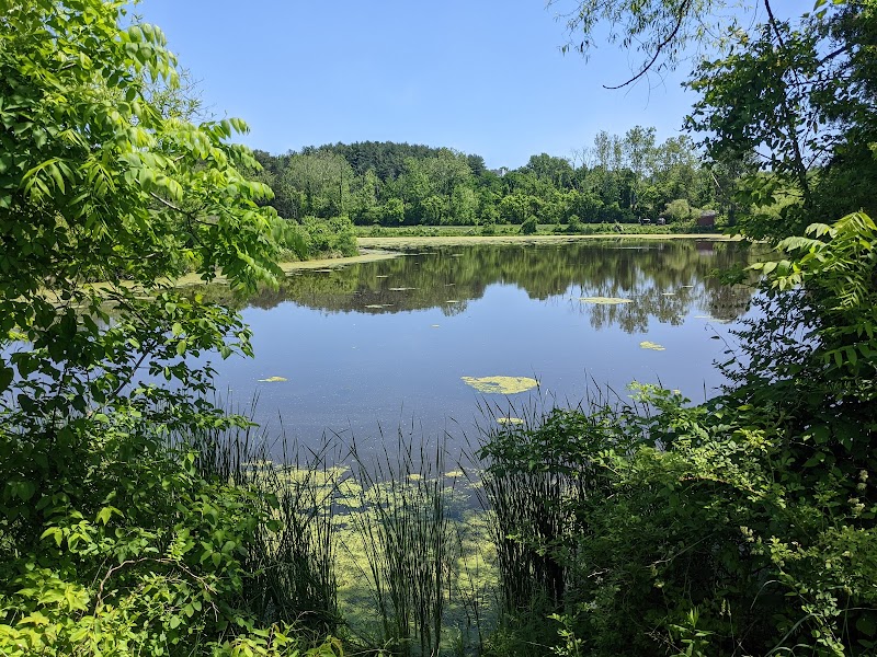 Diamond Ridge Family Park