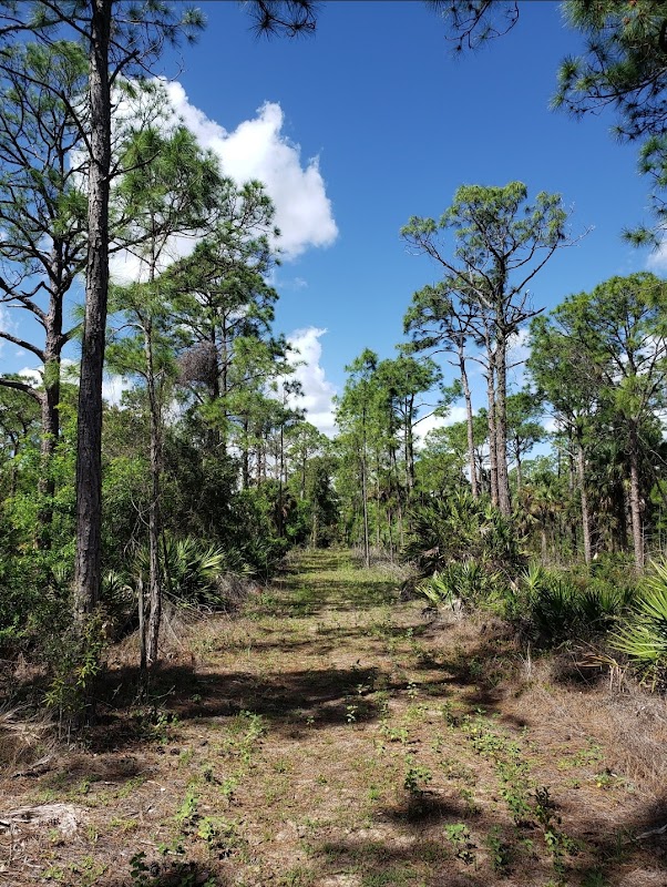 Buckingham Trails Preserve