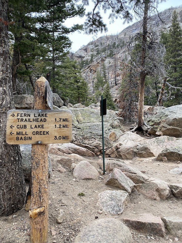 Old Forest Inn Backcountry Campsite