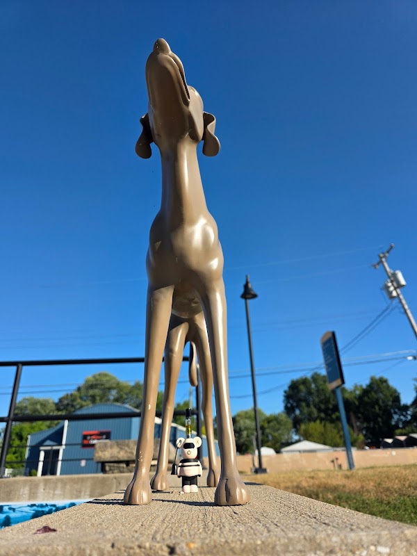 Discovery Trail Parking