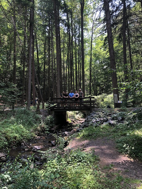 Nolde Forest Sawmill Parking