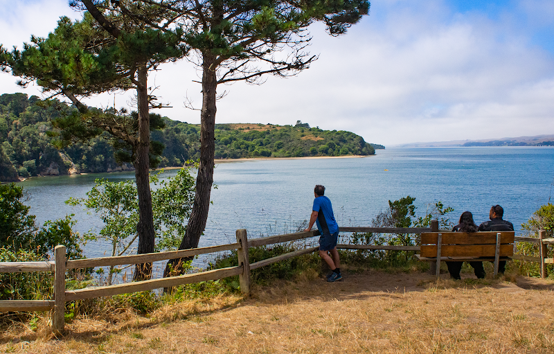 Vista Point Group Picnic Area