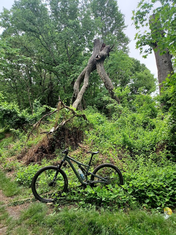 Mountain Bike Gloucester