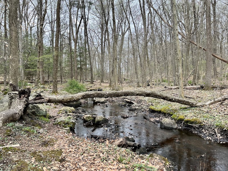 Tourne County Park, Boonton Access