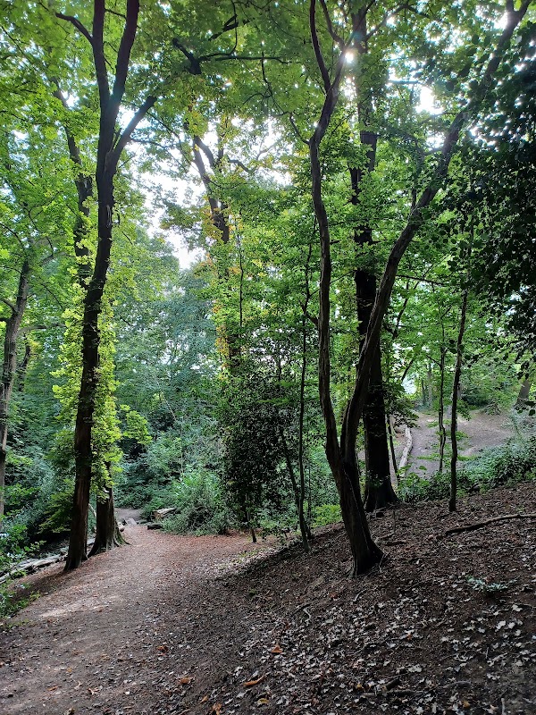 Oak Hill Wood, London Wildlife Trust